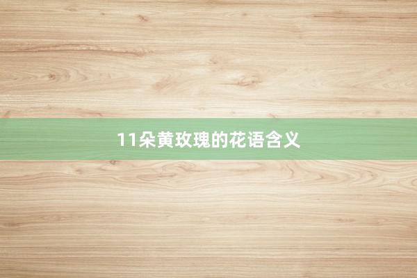11朵黄玫瑰的花语含义