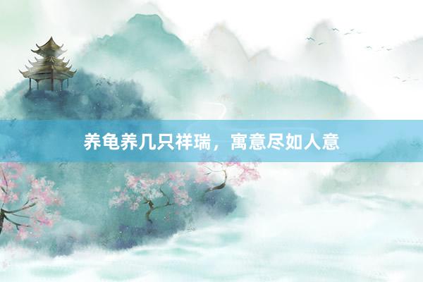 养龟养几只祥瑞，寓意尽如人意