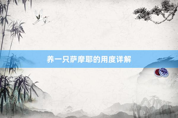 养一只萨摩耶的用度详解