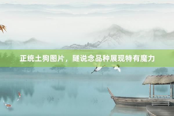 正统土狗图片，隧说念品种展现特有魔力